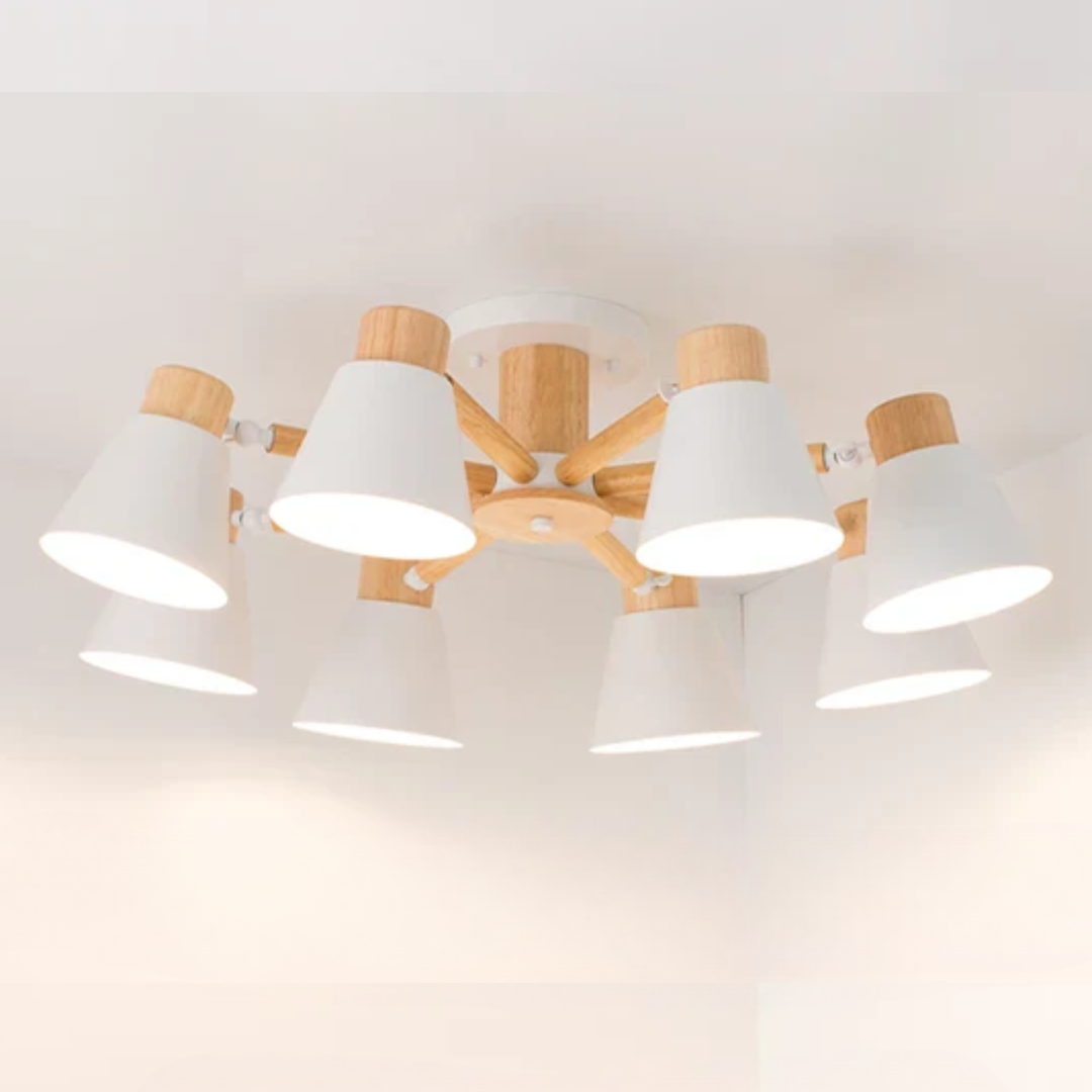 LED Ceiling Lamp