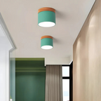 Vintage LED ceiling lamp