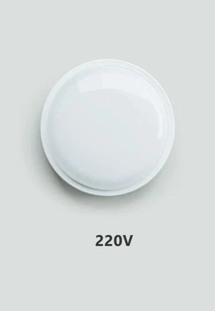 Waterproof LED Moisture Ceiling Light – Ideal for Bathrooms, Kitchens, and Cellars