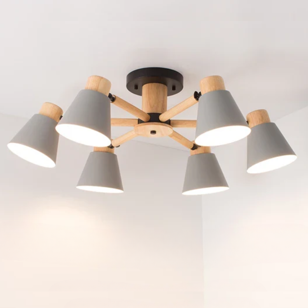 LED Ceiling Lamp