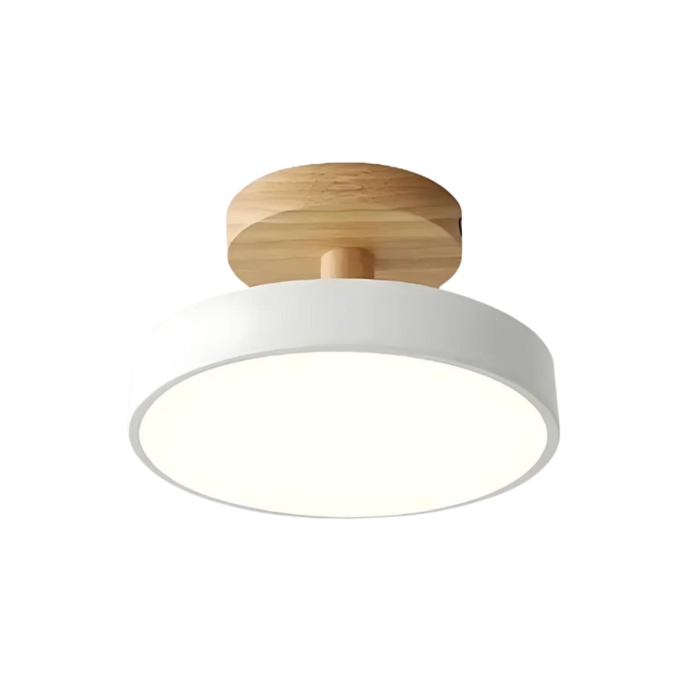 Compact modern LED ceiling lamp