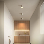 Adjustable LED Ceiling Lamp