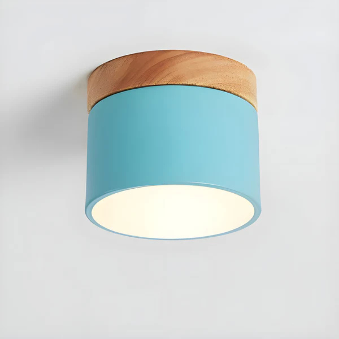 Vintage LED ceiling lamp