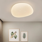 Stylish LED ceiling lamp