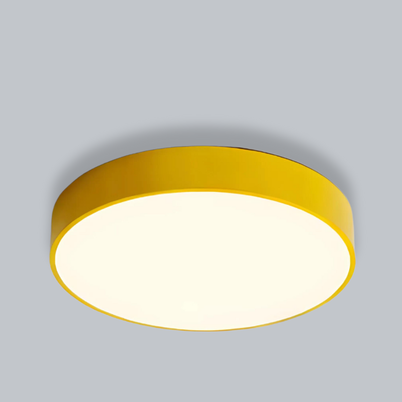 Round dimmable LED ceiling light