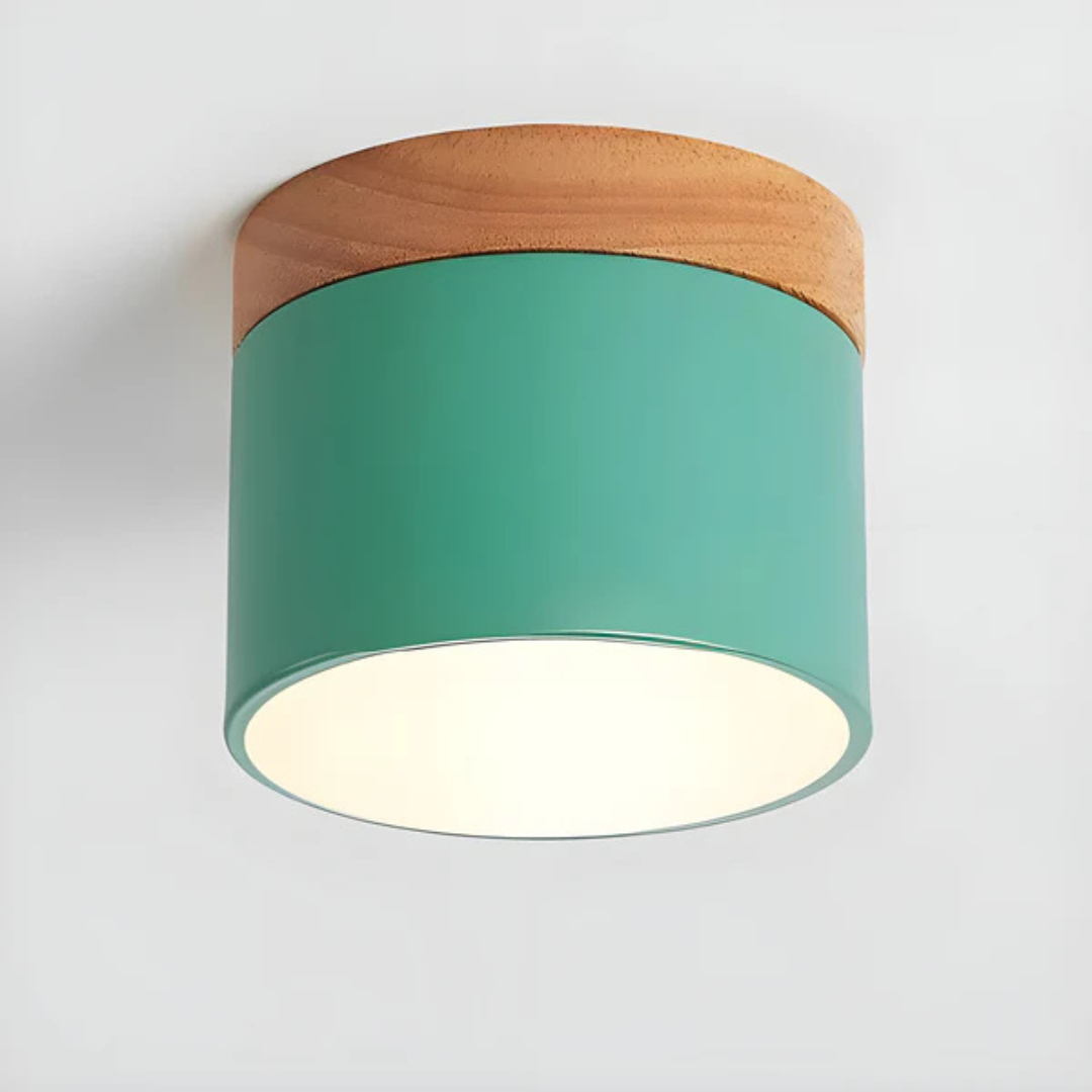 Vintage LED ceiling lamp