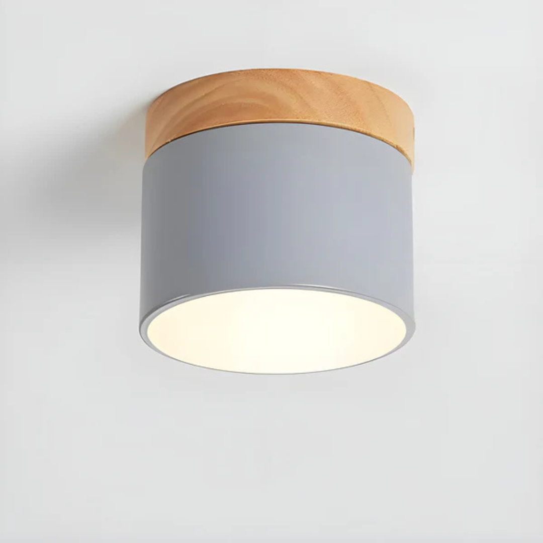 Vintage LED ceiling lamp