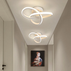 Modern Ceiling Light