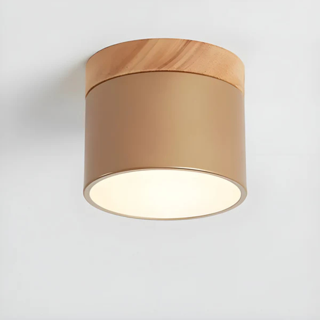 Vintage LED ceiling lamp