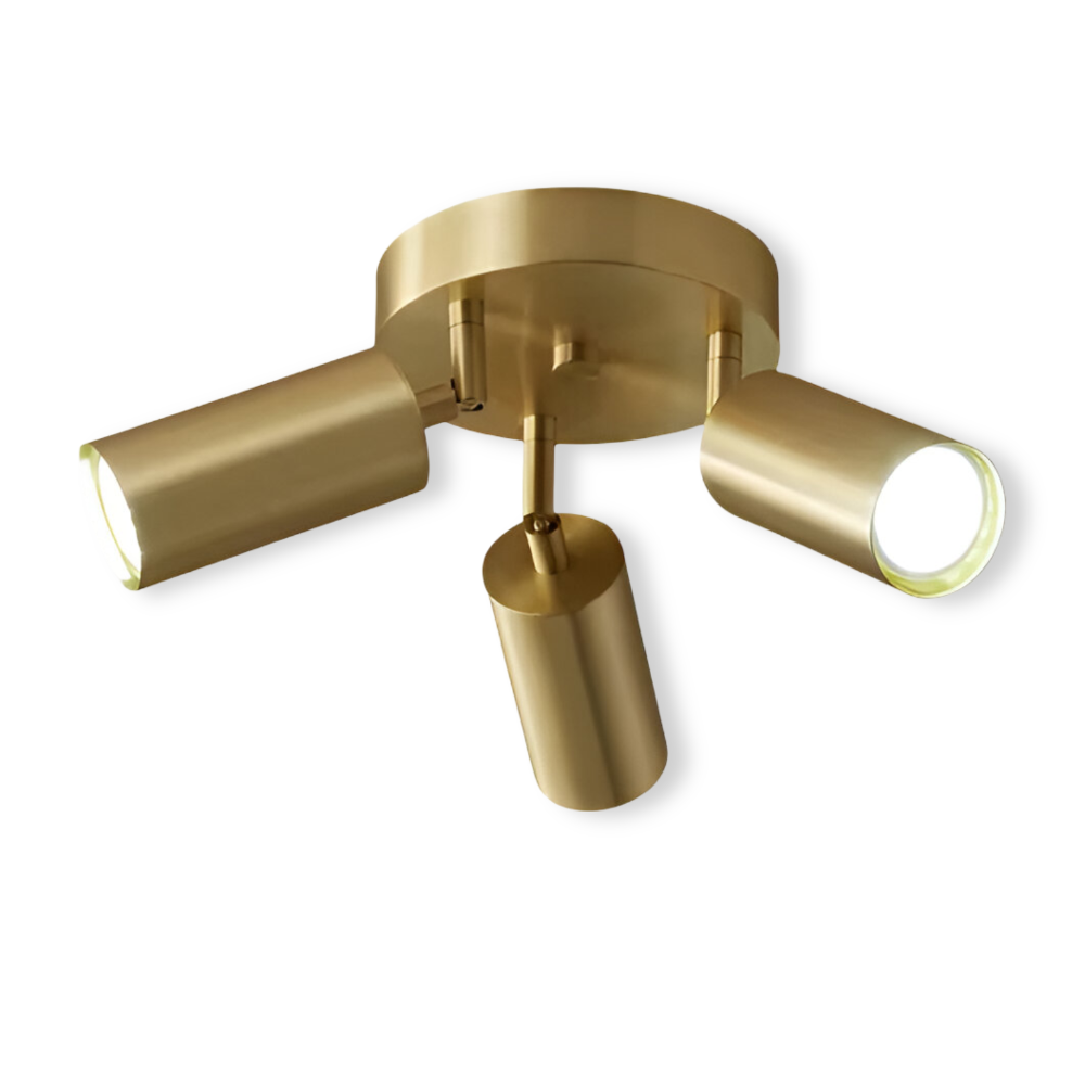 Brass LED Ceiling Light Modern Design