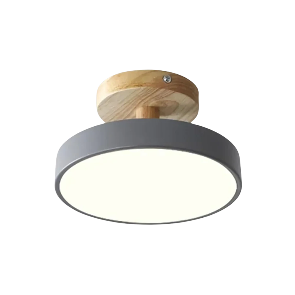 Compact modern LED ceiling lamp