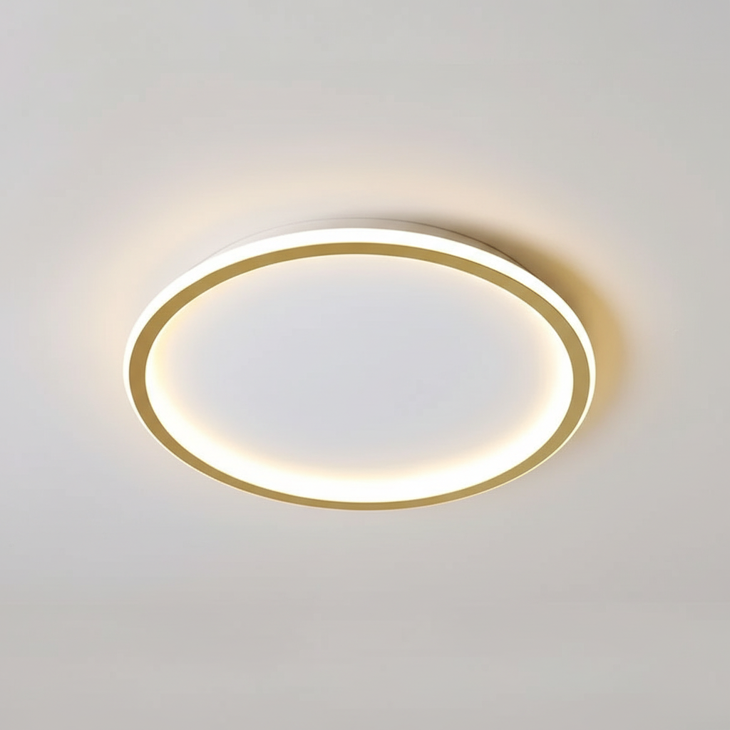 Modern ceiling light - room light