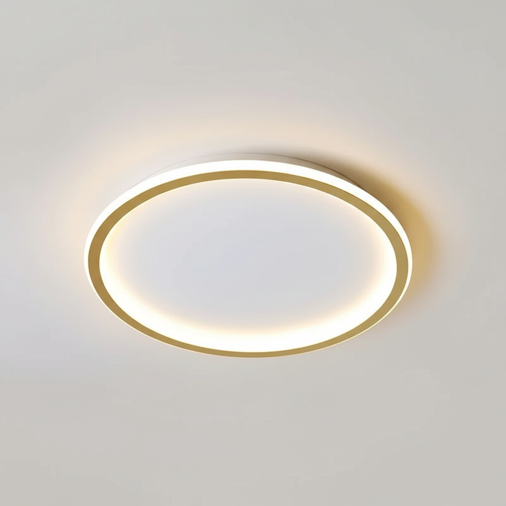 Modern ceiling light - room light