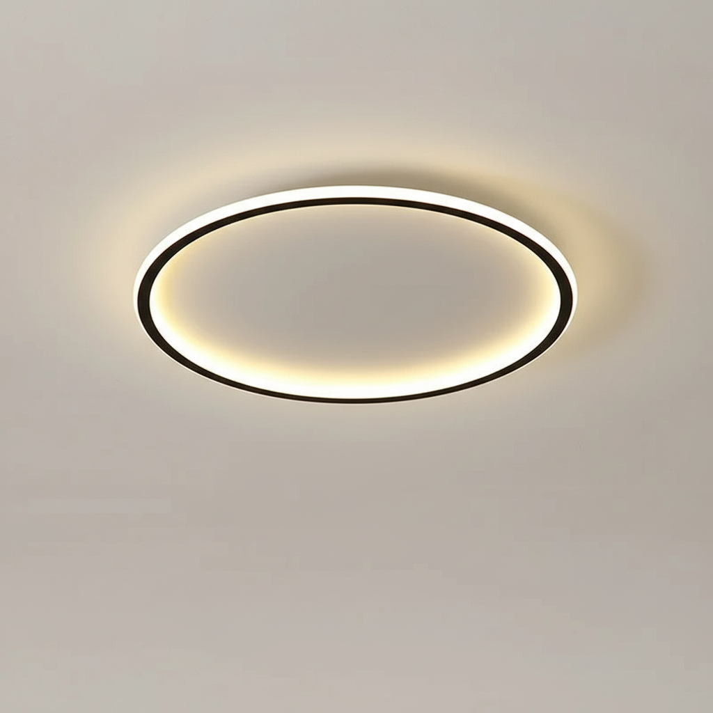 Modern ceiling light - room light