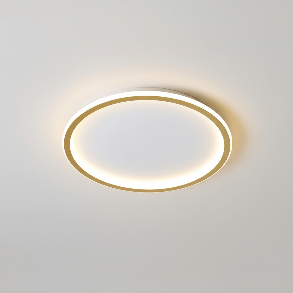 Modern ceiling light - room light
