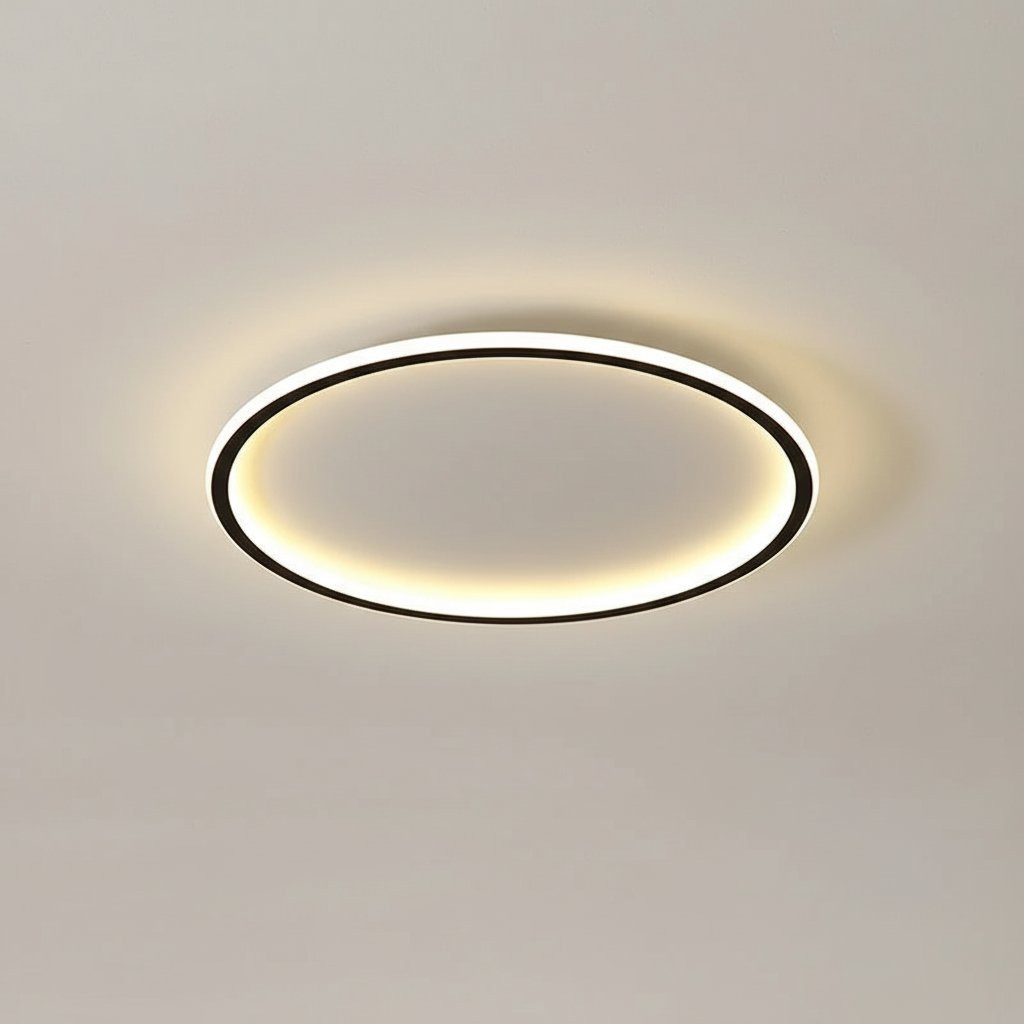 Modern ceiling light - room light