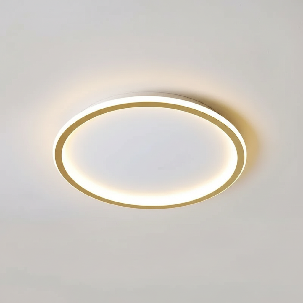 Modern ceiling light - room light