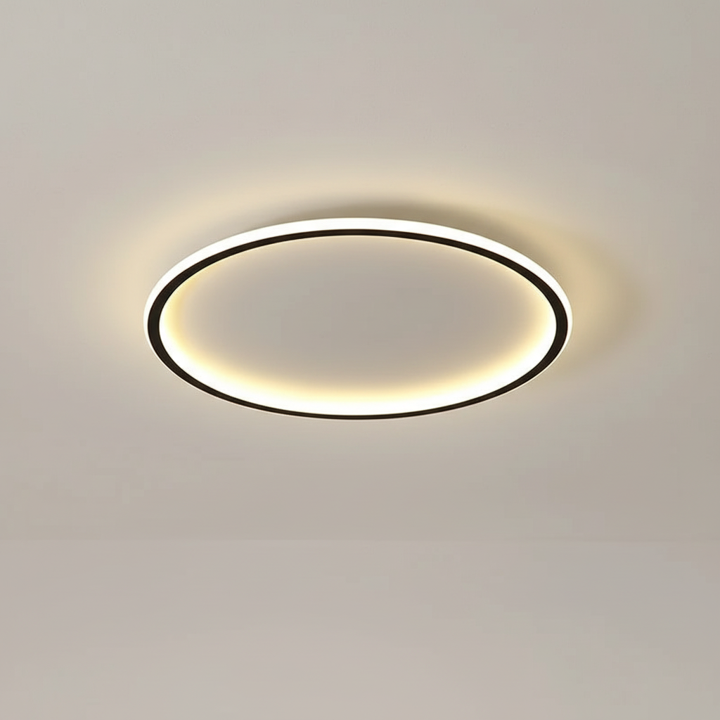Modern ceiling light - room light