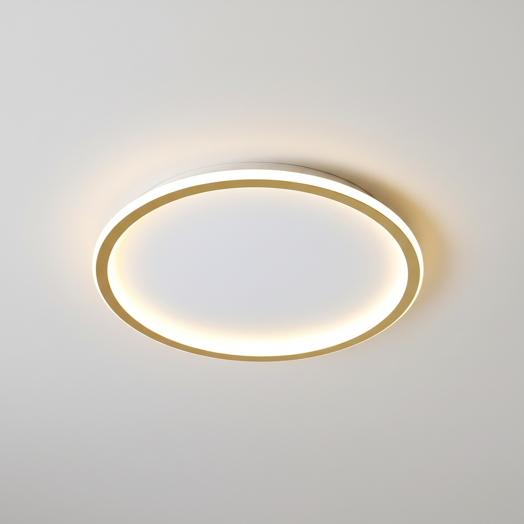 Modern ceiling light - room light