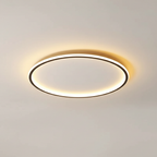 Modern ceiling light - room light