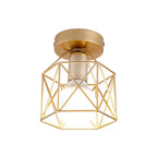 Modern ceiling light with golden metal grid – Stylish lighting for hallway and living room
