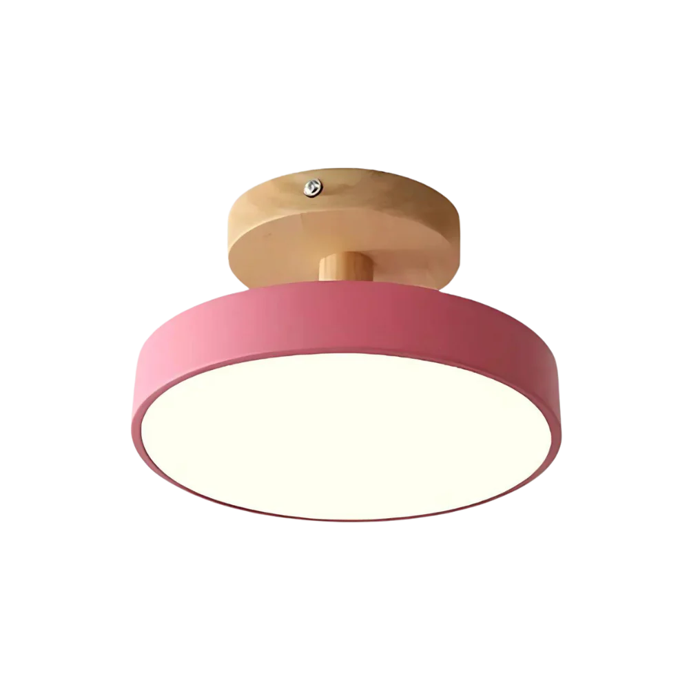 Compact modern LED ceiling lamp