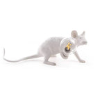Modern LED Animal Table Lamps: Resin Rat, Cat and Squirrel Night Lights