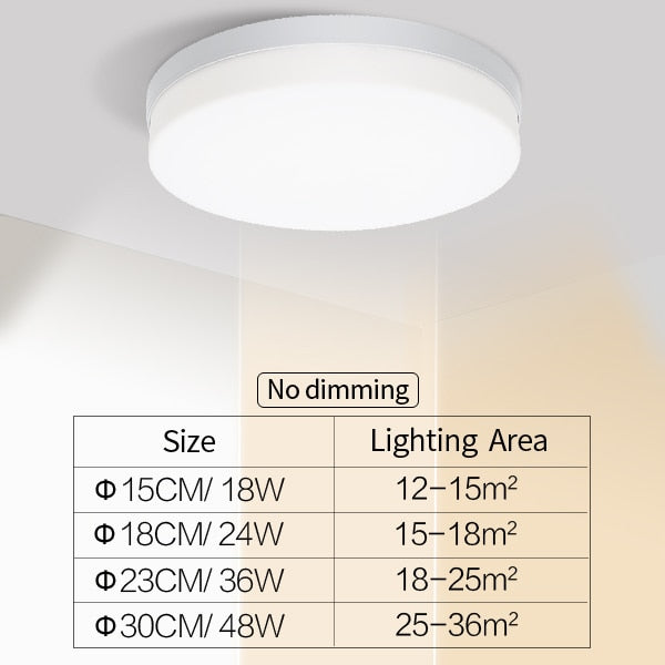 Natural Space Slim LED Ceiling Light