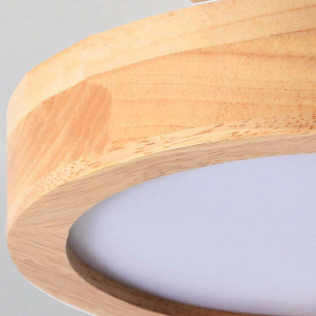 Stylish modern LED ceiling lamp Madigas