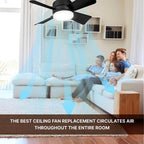 Ceiling fan